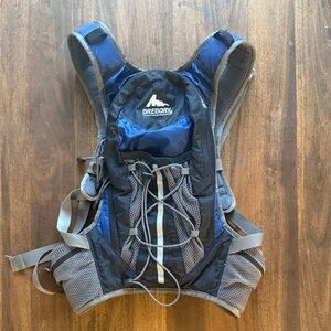 Gregory Stimulus Hydration Backpack